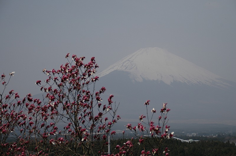 富士山画像記録