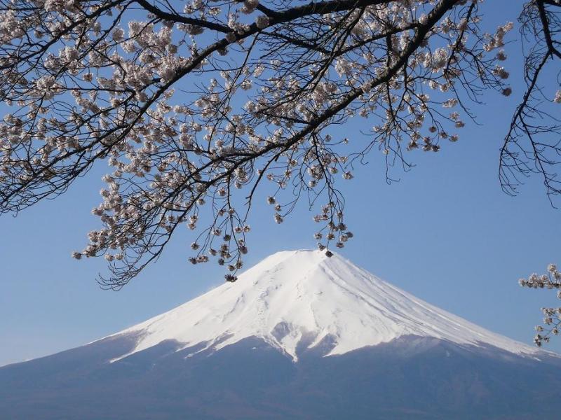 富士山画像作品