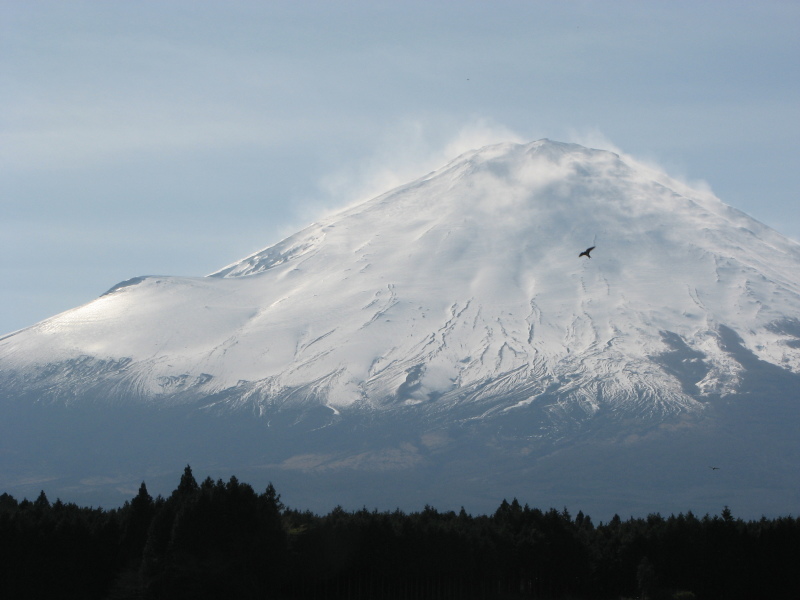 富士山画像記録