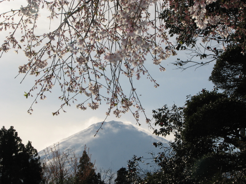 富士山画像記録