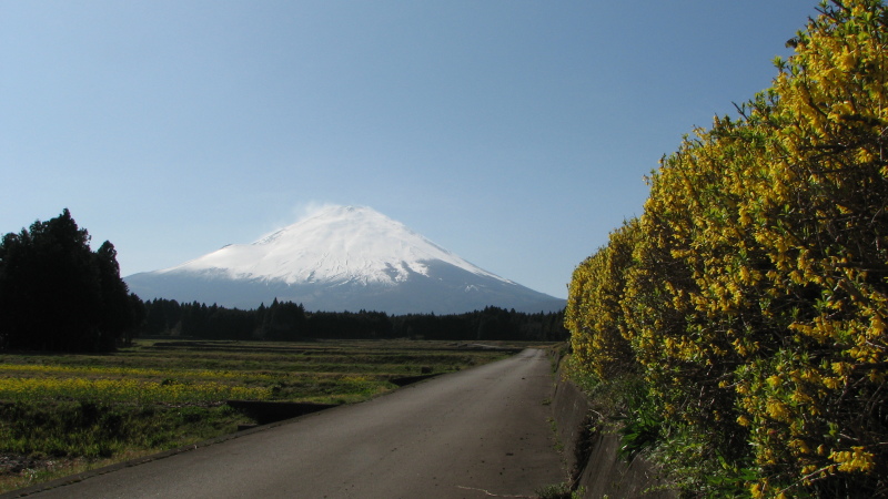 富士山画像記録