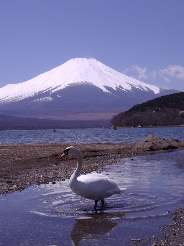 富士山画像記録