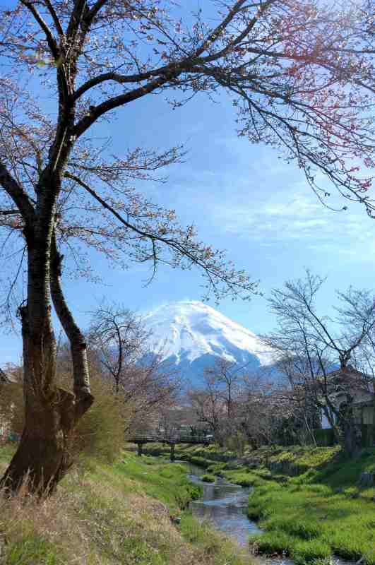 富士山画像作品