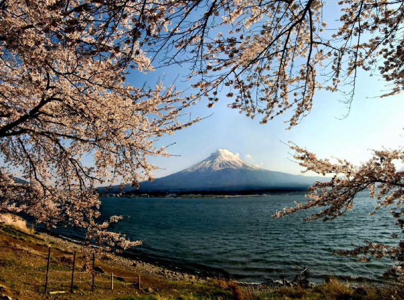 富士山画像作品