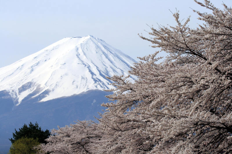 富士山画像作品