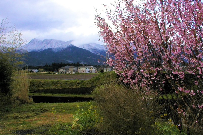 富士山周辺風景