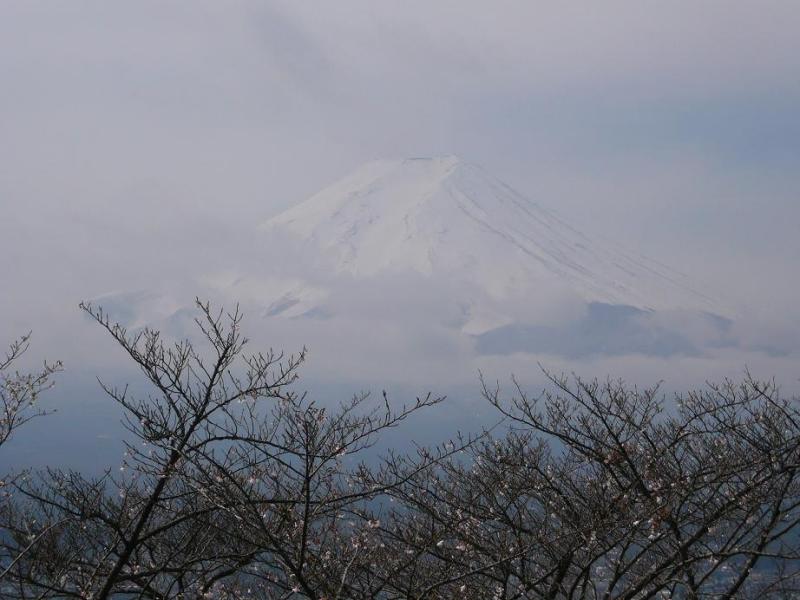 富士山画像作品