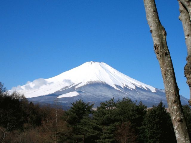 富士山画像作品