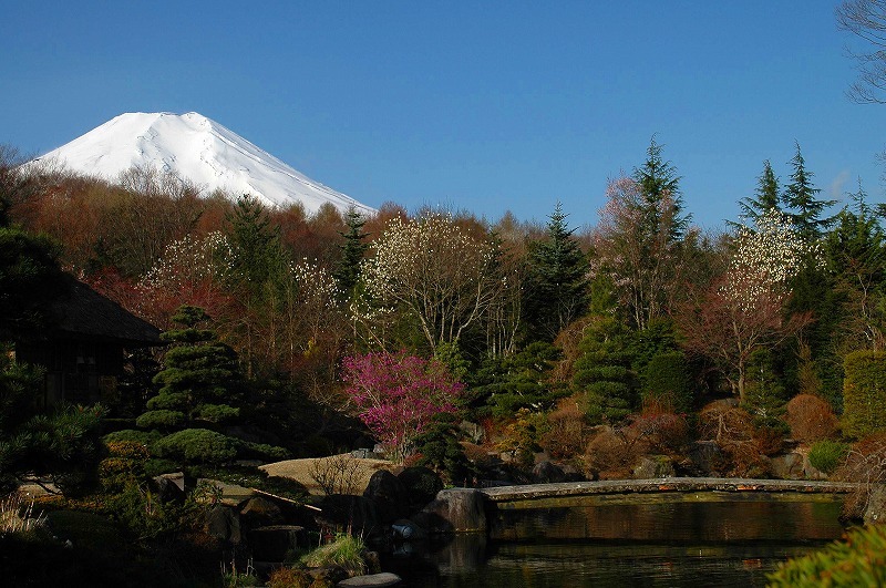 富士山画像記録