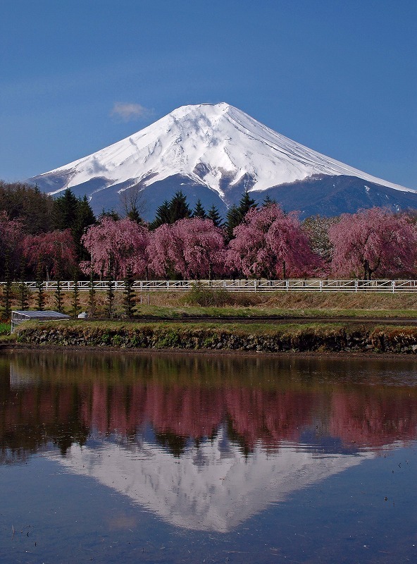 富士山画像記録