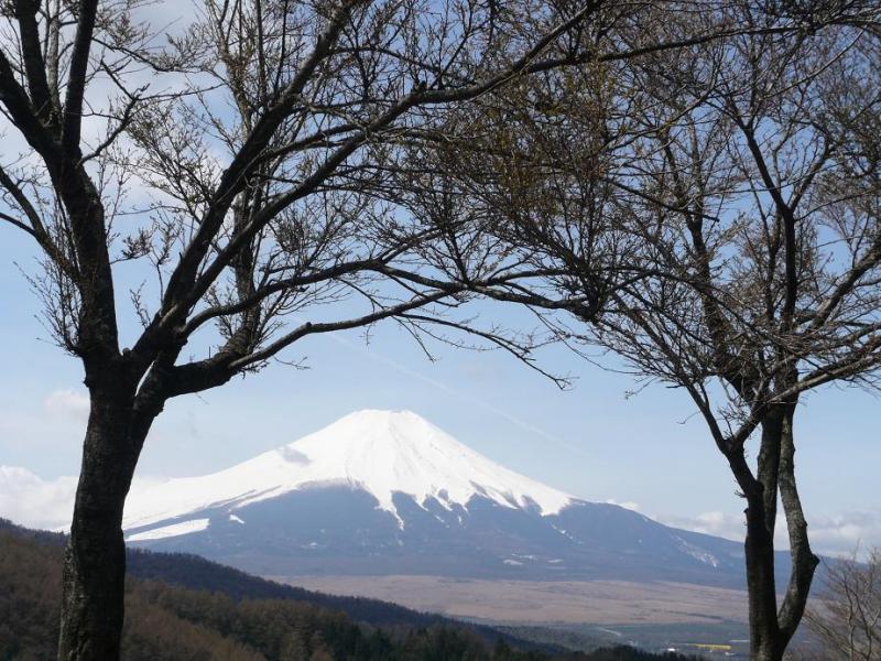 富士山画像作品