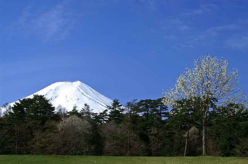 富士山画像作品