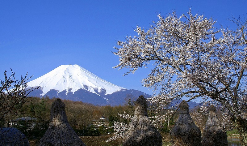 富士山画像記録