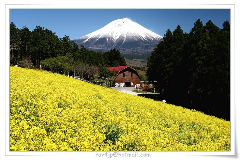 富士山画像作品