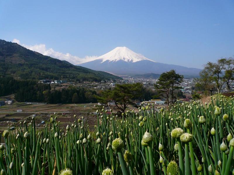 富士山画像作品