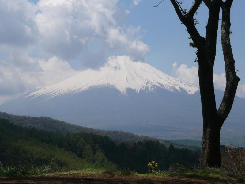 富士山画像作品