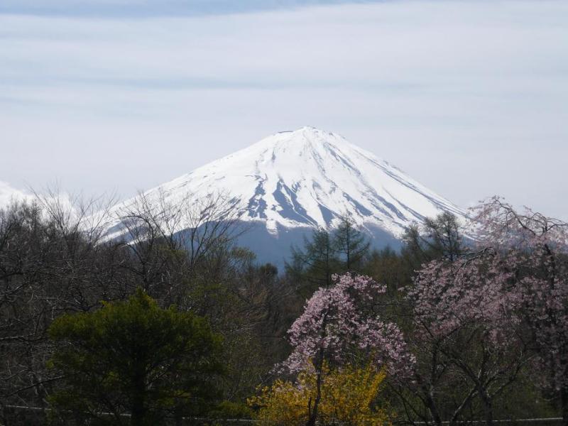 富士山画像作品