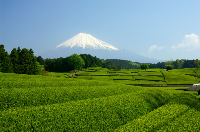 富士山画像作品