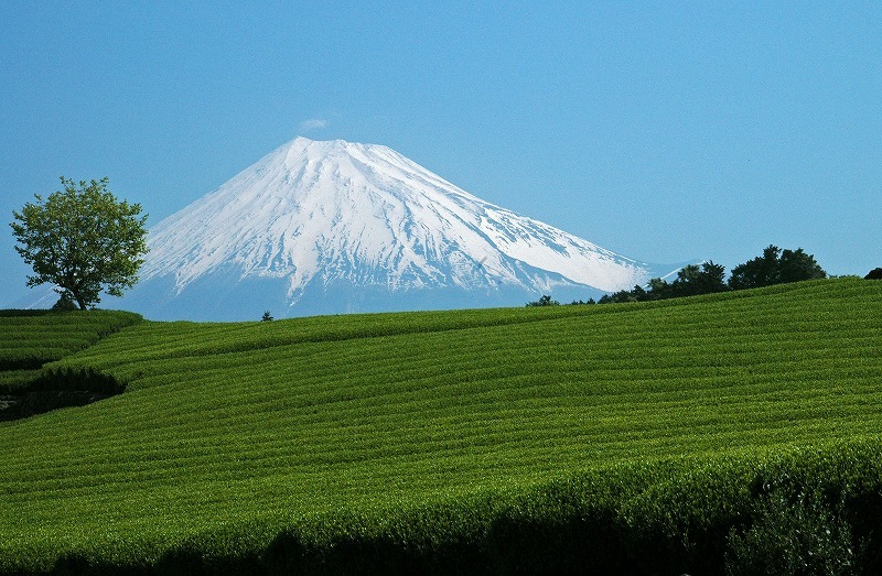 富士山画像記録