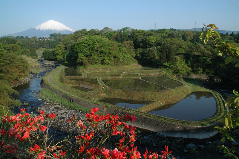 富士山画像作品