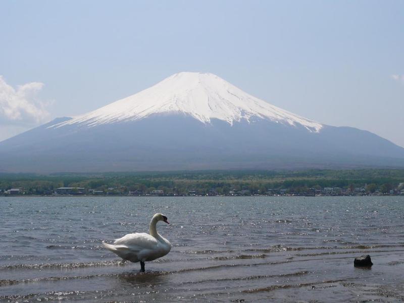 富士山画像作品