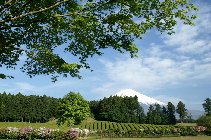 富士山画像記録