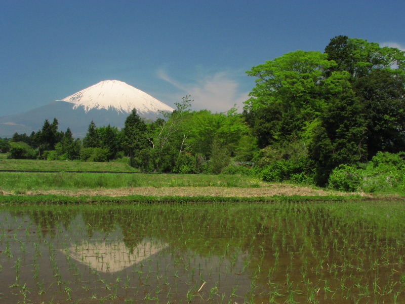 富士山画像記録