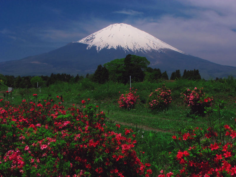 富士山画像記録