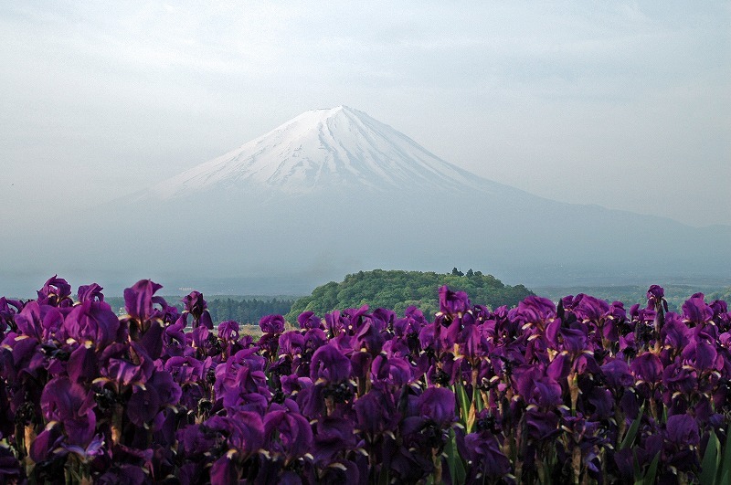 富士山画像記録