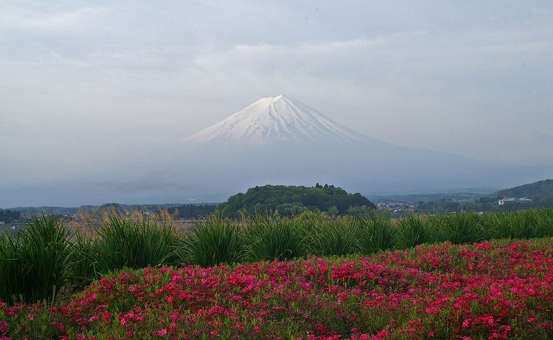 富士山画像作品