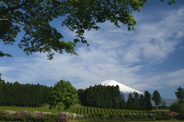 富士山画像作品