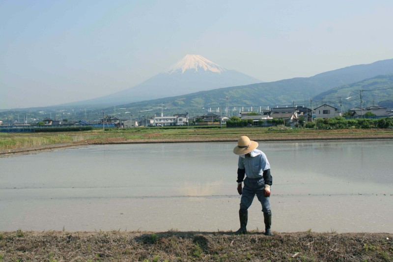 富士山画像作品