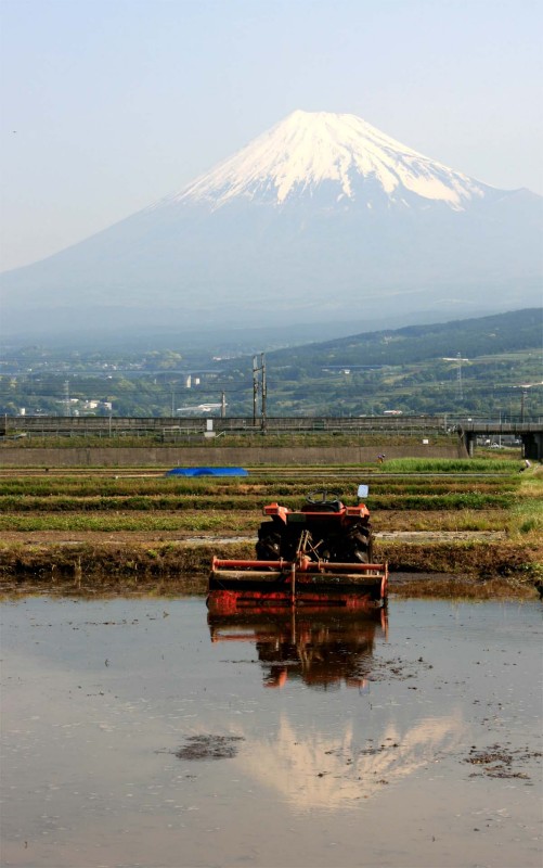 富士山画像作品