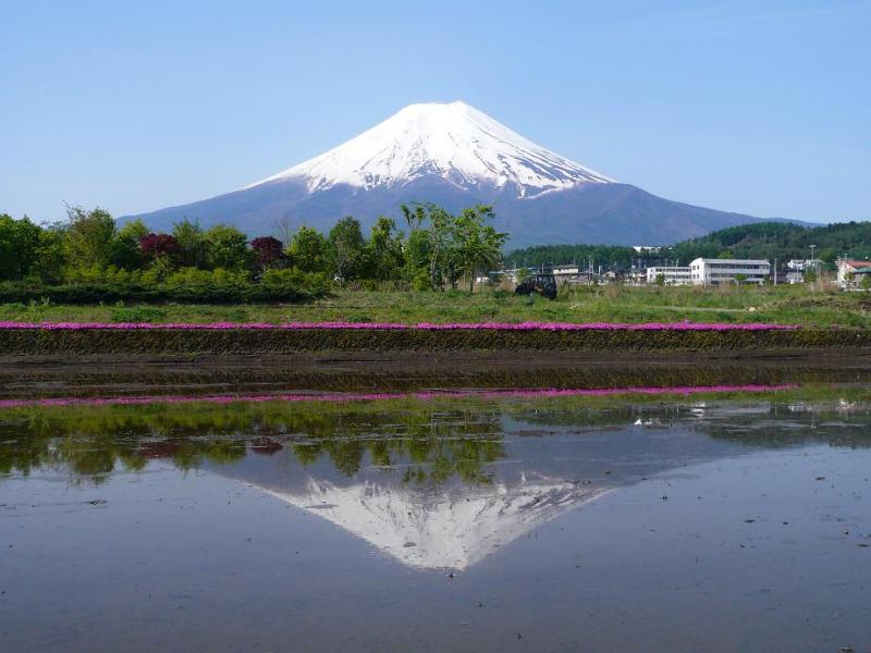 富士山画像作品