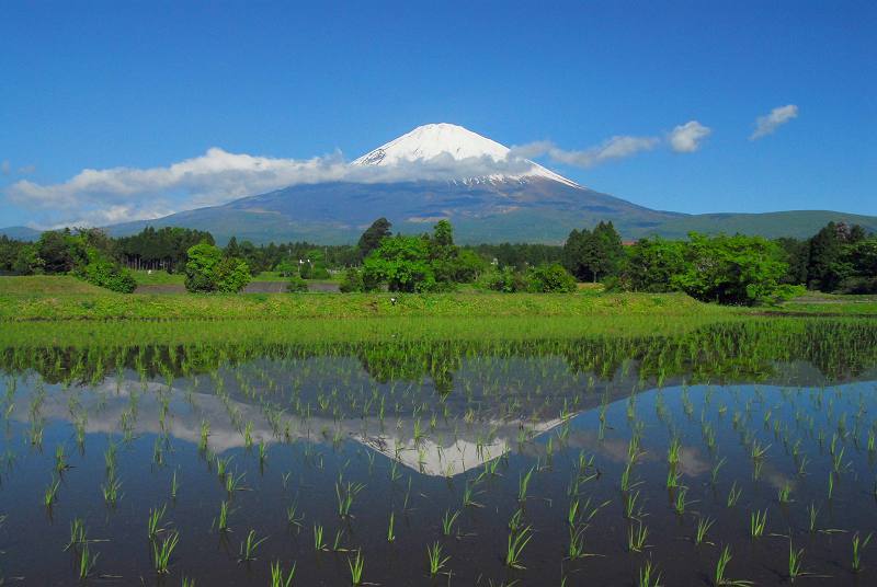 富士山画像作品