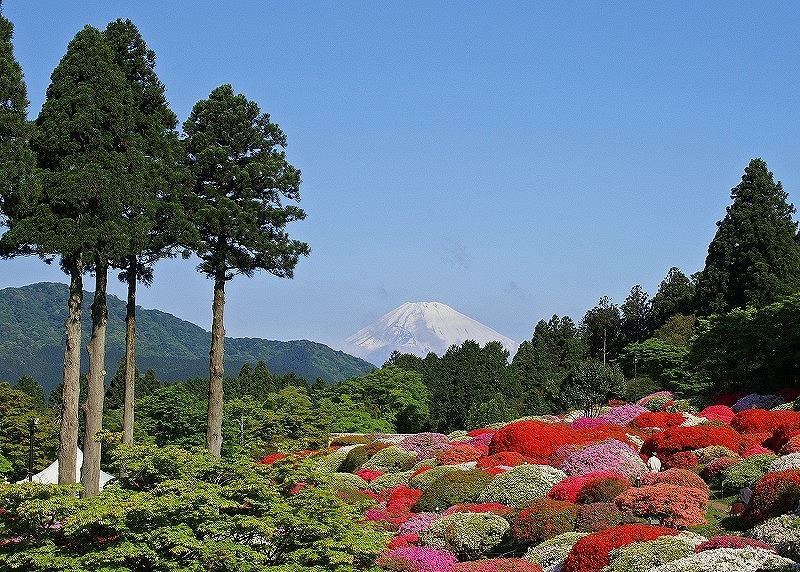 富士山画像作品