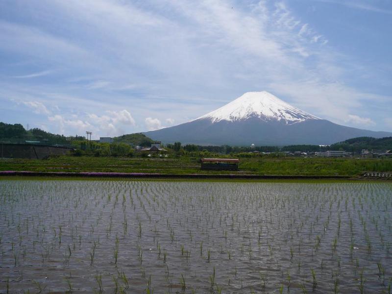 富士山画像作品