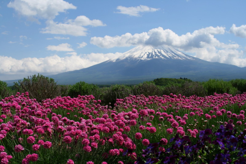 富士山画像作品