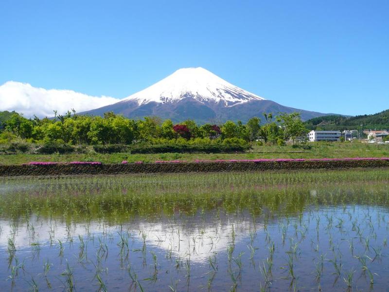 富士山画像作品