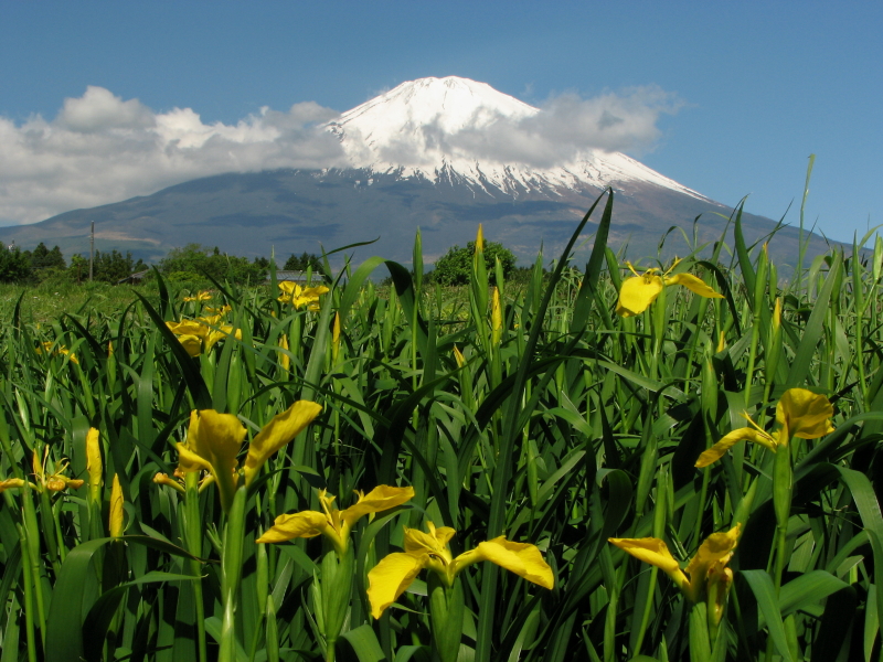 富士山画像記録