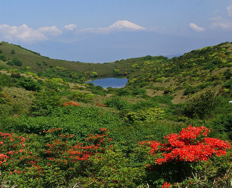 富士山画像作品