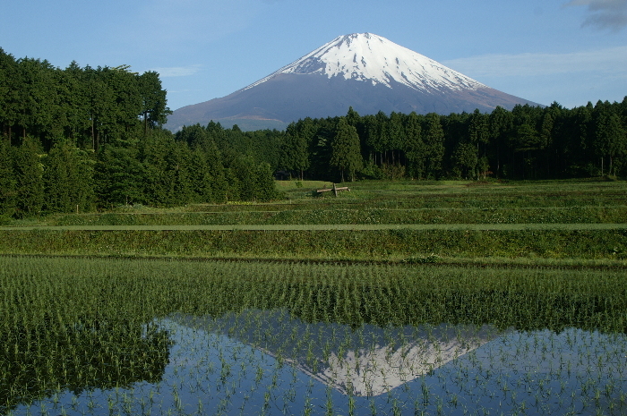 富士山画像作品