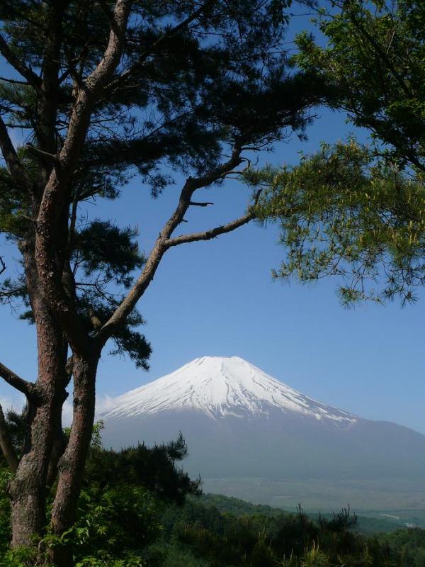 富士山画像作品