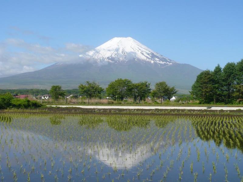 富士山画像作品