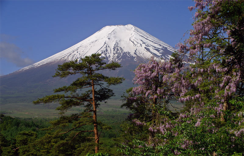 富士山画像作品