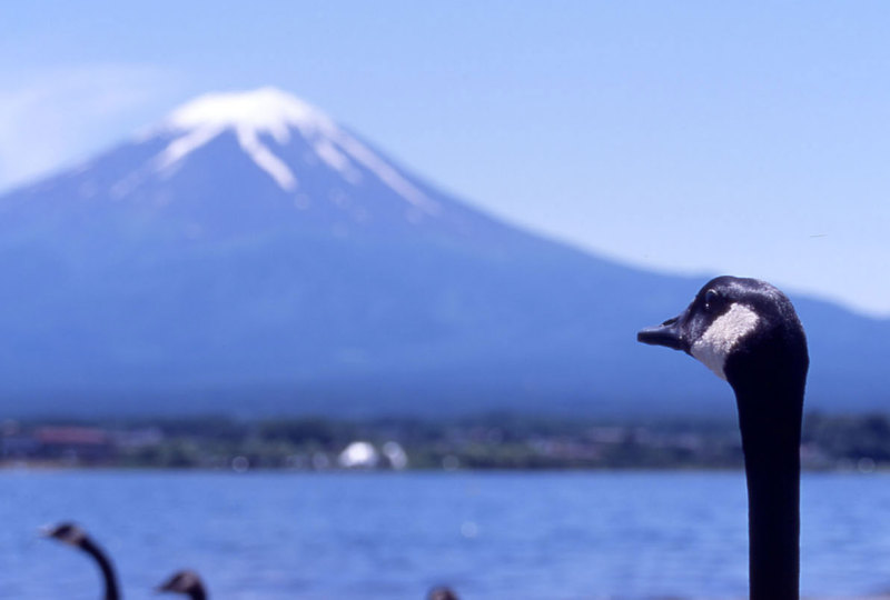 富士山画像作品