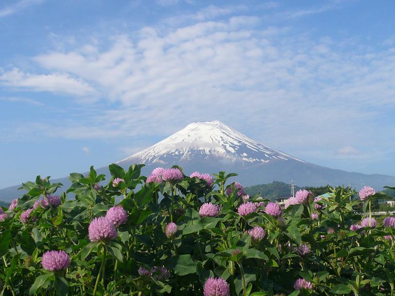 富士山画像作品