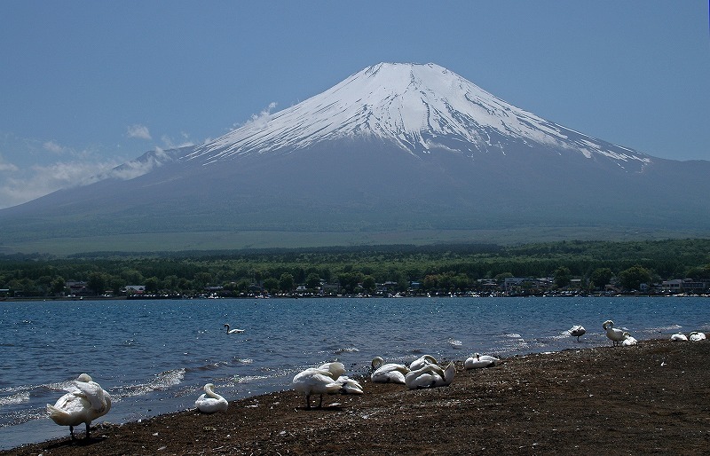 富士山画像記録