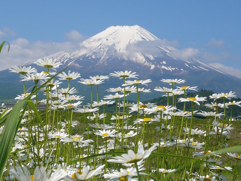 富士山画像作品