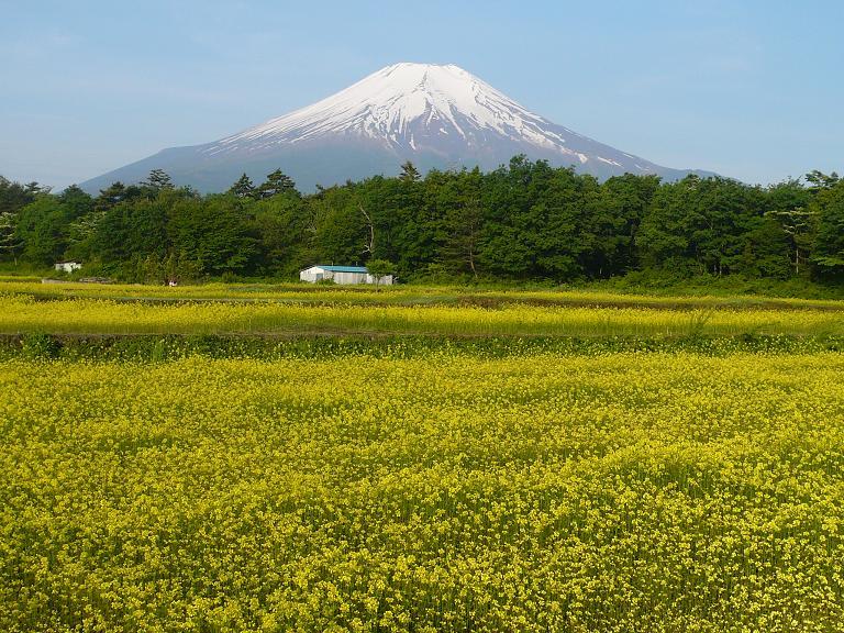 富士山画像作品